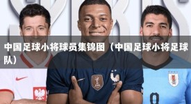 中国足球小将球员集锦图（中国足球小将足球队）