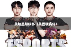 美加墨超级杯（美墨联赛杯）