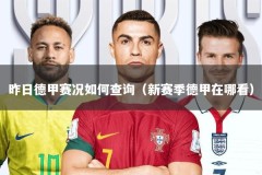 昨日德甲赛况如何查询（新赛季德甲在哪看）