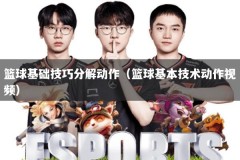 篮球基础技巧分解动作（篮球基本技术动作视频）