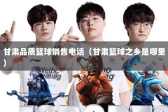 甘肃品质篮球销售电话（甘肃篮球之乡是哪里）