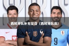 西班牙队补充征召（西班牙队员）