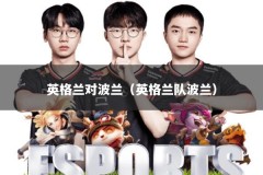 英格兰对波兰（英格兰队波兰）