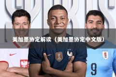 美加墨协定解读（美加墨协定中文版）