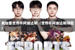 美加墨世界杯阿迪达斯（世界杯阿迪达斯球鞋）