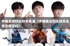 中国足球归化射手是谁（中国国足归化球员名单百度百科）