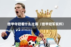 德甲夺冠看什么比赛（德甲冠军奖杯）