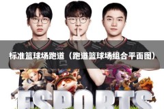 标准篮球场跑道（跑道篮球场组合平面图）