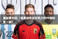 美加墨48队（美墨加协议生效,针对中国的第一张）