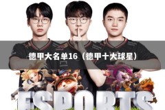 德甲大名单16（德甲十大球星）