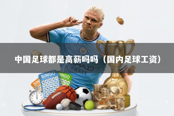中国足球都是高薪吗吗(国内足球工资)