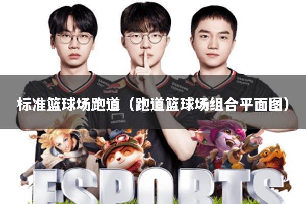 标准篮球场跑道(跑道篮球场组合平面图)